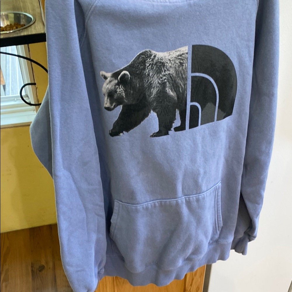 The North Face Blue Bear Graphic Men's Sweater